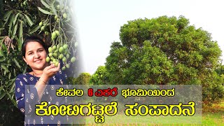 80 ಲಕ್ಷ ಅಪ್ಪೆಮಿಡಿ ಬಂದಿದೆ ಈ ವರ್ಷ ಇವರಿಗೆ  Sudooru Appemidi Plantation  80Lakh Midi 6Rs each [upl. by Marvin]