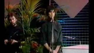 The Stranglers  Dont Bring Harry TOTP 1979 [upl. by Nnylanna]