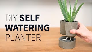 DIY self watering concrete planter  How to [upl. by Salita]