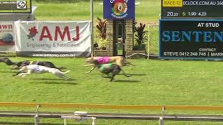 Capalaba11022024Race12 [upl. by Imeka]