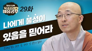 나에게 불성이 있음을 믿어라  법상스님의 육조단경과 마음공부 29회 [upl. by Collum619]