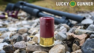 Are Mini Shotgun Shells Viable for SelfDefense [upl. by Ernie]