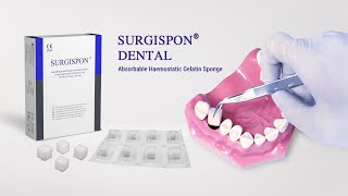 Surgispon Dental haemostatic sponge [upl. by Gnet]