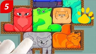 Cat Puzzle Gameplay Walkthrough Part 5  Sort the Cat ImVipeRKing [upl. by Ynohtnaluap784]