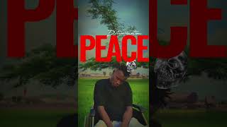 Determination Peace lyrics video [upl. by Ruby]