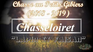 chasse au petits gibiers20182019quotLapin et Faisanquot [upl. by Aelegna]