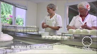 Conso  Crottin de Chavignol  Un savoirfaire 100 français [upl. by Dualc]