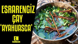 Ayahuasca Çayı nedir Kalp gözünü Üçüncü gözü açtığını biliyor musunuz [upl. by Adyht]