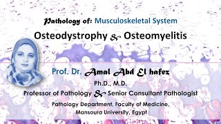 Osteodystrophy and Osteomyelitis lecture شرح محاضرة Bone diseases [upl. by Ahsyak]