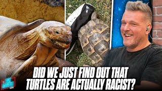 Pat McAfee EXPOSES Turtles As Racists With Some Exquisite Journalism [upl. by Kilk238]