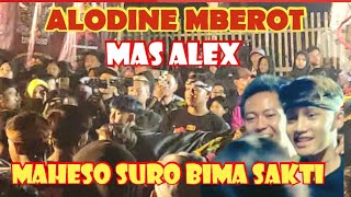 ALODINE MBEROTMAS ALEX dkk BERAKSI MAHESO SURO BIMA SAKTI Di Wajak [upl. by Ilan]