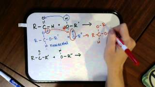 Formation of Hemiacetals and Acetals [upl. by Frymire476]