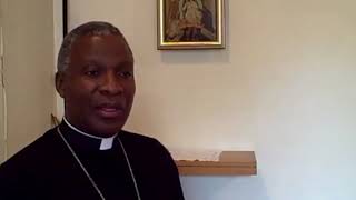 Archbishop Thabo Makgoba of the Anglican Church of Southern Africa looks ahead to Primates’ 2017 [upl. by Husein44]