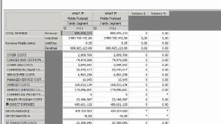 SAP Profitability and Cost Management for Telecom [upl. by Nelac]