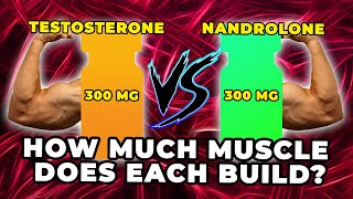 300 MG Testosterone Vs 300 MG Nandrolone  Exactly How Much Muscle Does Each Build [upl. by Alhsa]