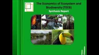 The Economics of Ecosystem and Biodiversity TEEB [upl. by Rubinstein43]