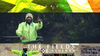 The Fields Athenry  Reggae Version  Vigarous [upl. by Eivlys]