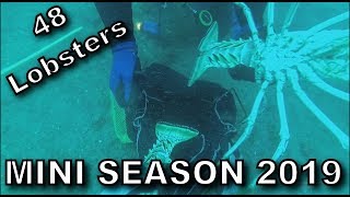 Mini Season 2019 [upl. by Leno]