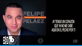 Tengo Un Corazón Felipe Peláez amp Manuel Julian  Vídeo Letra [upl. by Wilen]