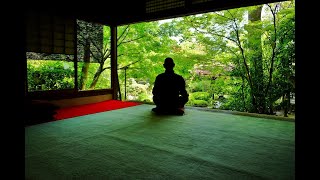 Zazen meditation at home [upl. by Choo520]