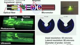 Photoacoustic tomography ultrasonically breaking through the optical diffusion limit [upl. by Arabelle184]