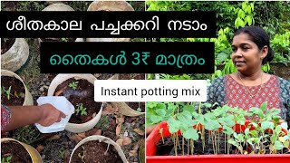 instant potting mix  പച്ചക്കറി തൈകൾക്ക് വെറും മൂന്നു രൂപ മാത്രം ശീതകാല പച്ചക്കറികൾ നടാം [upl. by Dirrej]