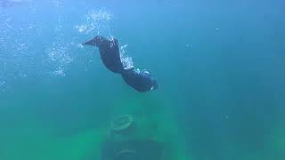 Busselton Jetty FreeDive [upl. by Anayik983]