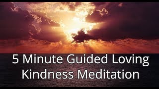 5 Minute Guided Loving Kindness Meditation [upl. by Anasiul]