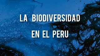 Entrevistas sobre la Biodiversidad en el Perú problemas y estrategias [upl. by Damon]