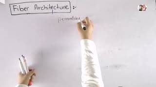 Muscle Fiber architecture  Biomechanics of skeletal muscle [upl. by Wendalyn]