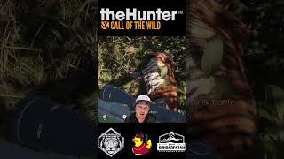 Legendary Bengal Tiger Trades Battle Scars  theHunter Call of the Wild cotw [upl. by Jelene685]