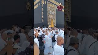 New muslim haj  new status 🕋 Alhamdulillah allah huakbar muslim alhamdulillah status shorts [upl. by Winikka111]