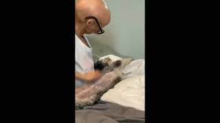 Adalia Rose last video adalia Rose death news [upl. by Tsnre]