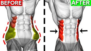 Dont Miss These 10 Perfect Oblique Exercises 🎯 [upl. by Nirre678]