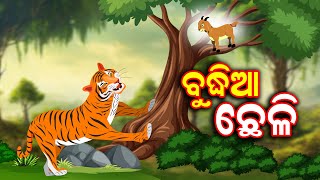 Tiger amp Goat Story  CHALAK CHELI O BOKA BAGHA FAIRY TELES  ODIA GAPA  ANIMAL ODIA STORY [upl. by Edyth]