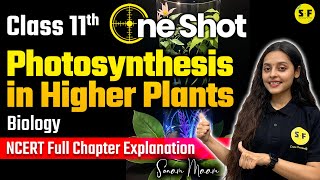 PHOTOSYNTHESIS IN HIGHER PLANTS ONE SHOT  CLASS 11 BIOLOGY NCERT EXPLANATION WITH SONAM MAAM [upl. by Laemsi318]