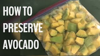 HOW TO PRESERVE AVOCADO [upl. by Disario]