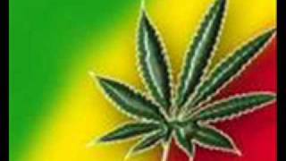 Peter Tosh  Legalize It [upl. by Nythsa]