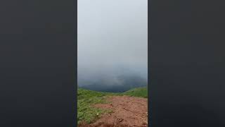 coorg coorgdiaries mandalpatti viralshorts youtube mountains naturelovers foggy trending [upl. by Eiznekam]