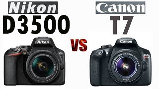 Nikon D3500 vs Canon T7 2000D [upl. by Alesram]