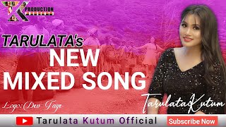 Mixed Song New  Tarulata Kutum  Music Akhim Das Official [upl. by Eenimod861]