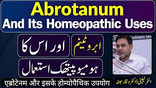 Abrotanum ابروٹینم एब्रोटेनम and its Homeopathic Uses by Dr Waqar Bhutta in Urdu  Hindi [upl. by Ynohtnaeoj129]