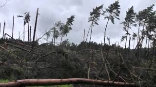 Stormschade bos Zutendaal [upl. by Psyche87]