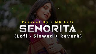 Senorita  Lofi  Slowed  Reverb  Zindagi Na Milegi Dobara  Hrithik Roshan  MG Lofi [upl. by Ranilopa]