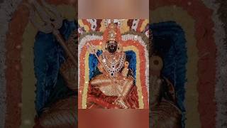 Maruvathur om sakthi song  Lord Amman Song shortsfeed ytshorts shorts devotionalsongstamil [upl. by Aufmann397]