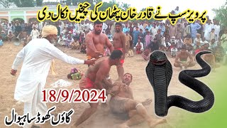 Parvez Sap VS Qadir Pathan New Kabaddi Match 18 September 2024  52GD Khon Sahiwal [upl. by Aicil]