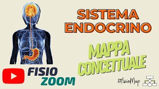 Il Sistema Endocrino FisioMap [upl. by Avie]