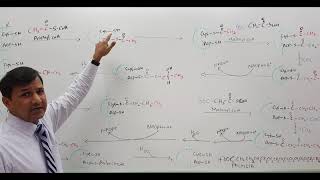 Fatty Acid Synthesis for MCAT USMLE and other exams [upl. by Grekin]