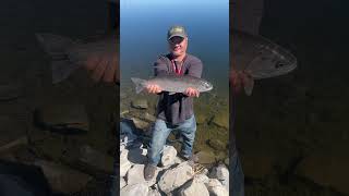 Here Is Seven Picking Up Trash  The Thornton Gravel Ponds In Thornton CO fishing trout shorts [upl. by Alemahs]