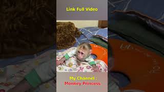 Monkey NANA woke up and missed her dad so much shorts smartmonkey babymonkey monkeynana [upl. by Eduard]